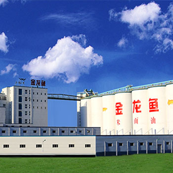 合規(guī)運(yùn)營(yíng)