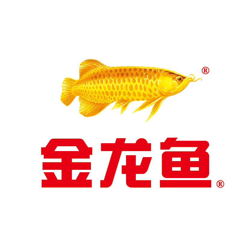 金龍魚-新