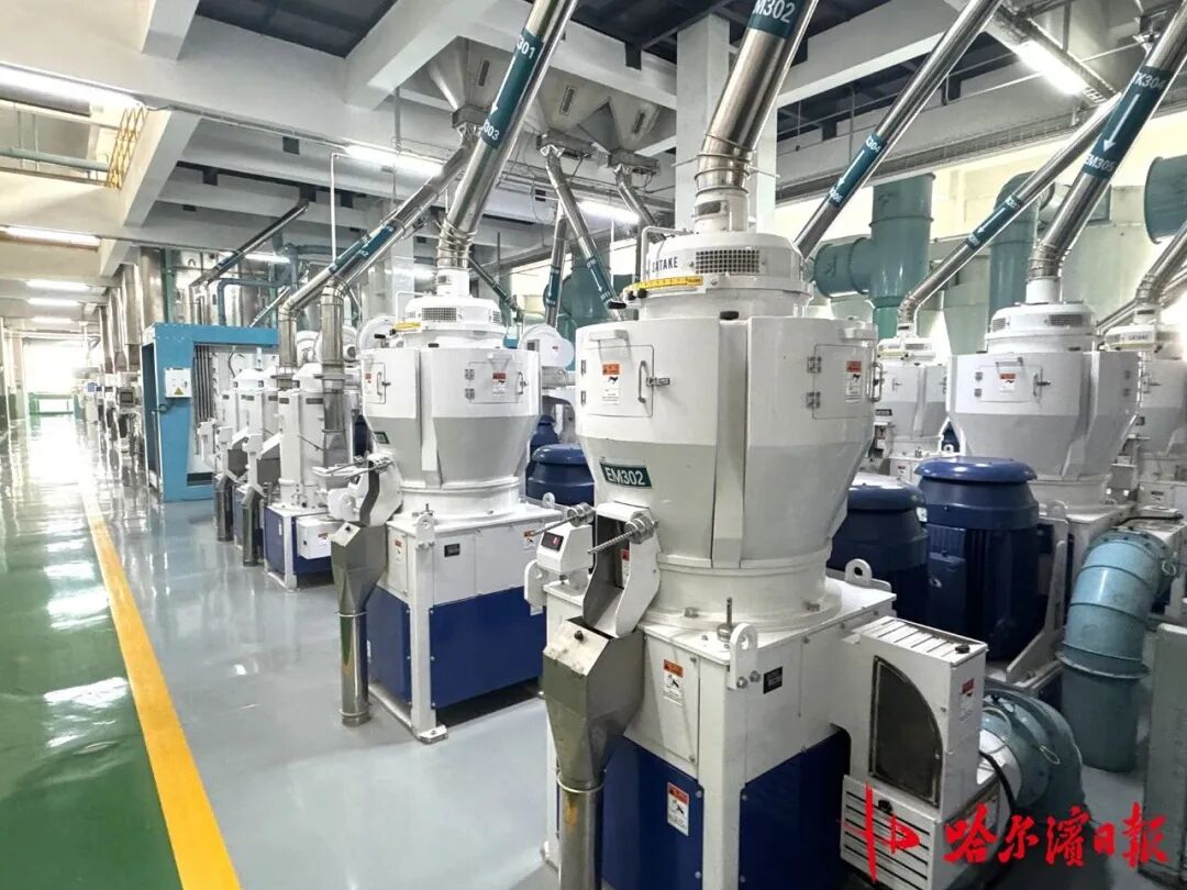 一粒方正大米，帶你體驗從稻谷到餐桌米飯的沉浸式“智造之旅”